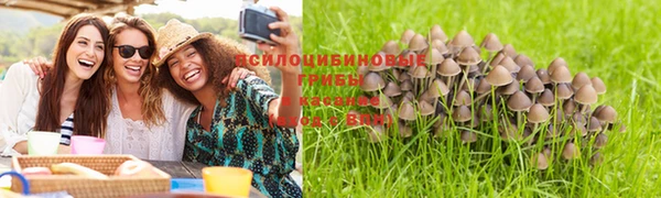 МДПВ Зеленодольск