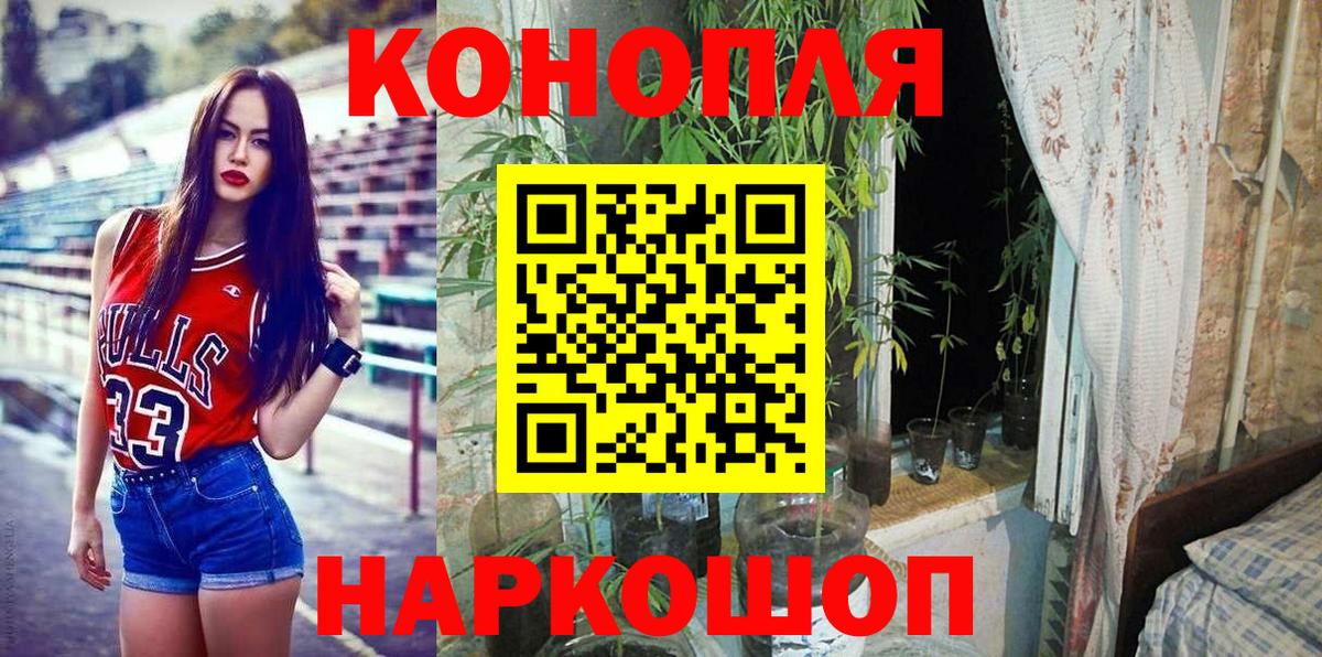 Каннабис OG Kush Камышлов